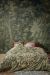 At Home by Beddinghouse Persian Rug - Green